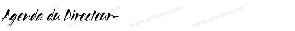 Agenda du Directeur字体转换